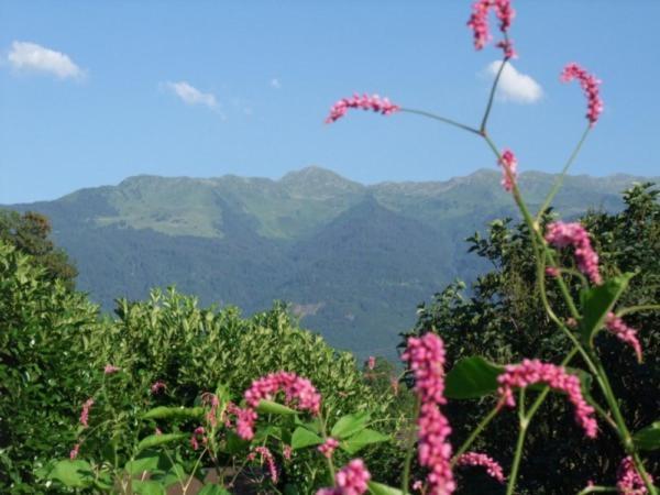 Tournon-sur-Rhône Le Domaine Du Grand Cellier Gites Appartement En Savoie מראה חיצוני תמונה